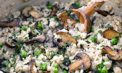 Mushroom Risotto